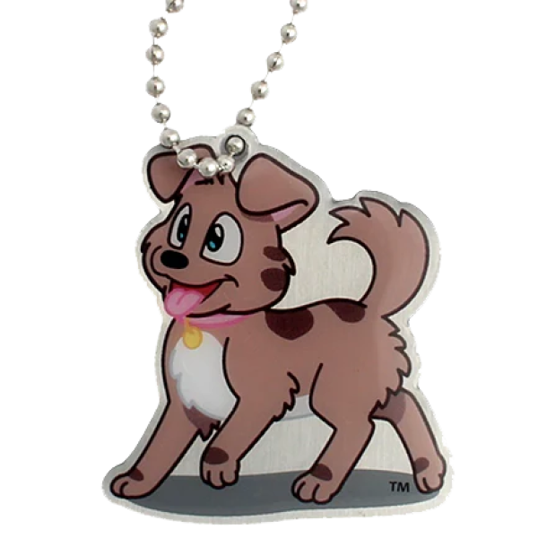 Tracker Travel Tag